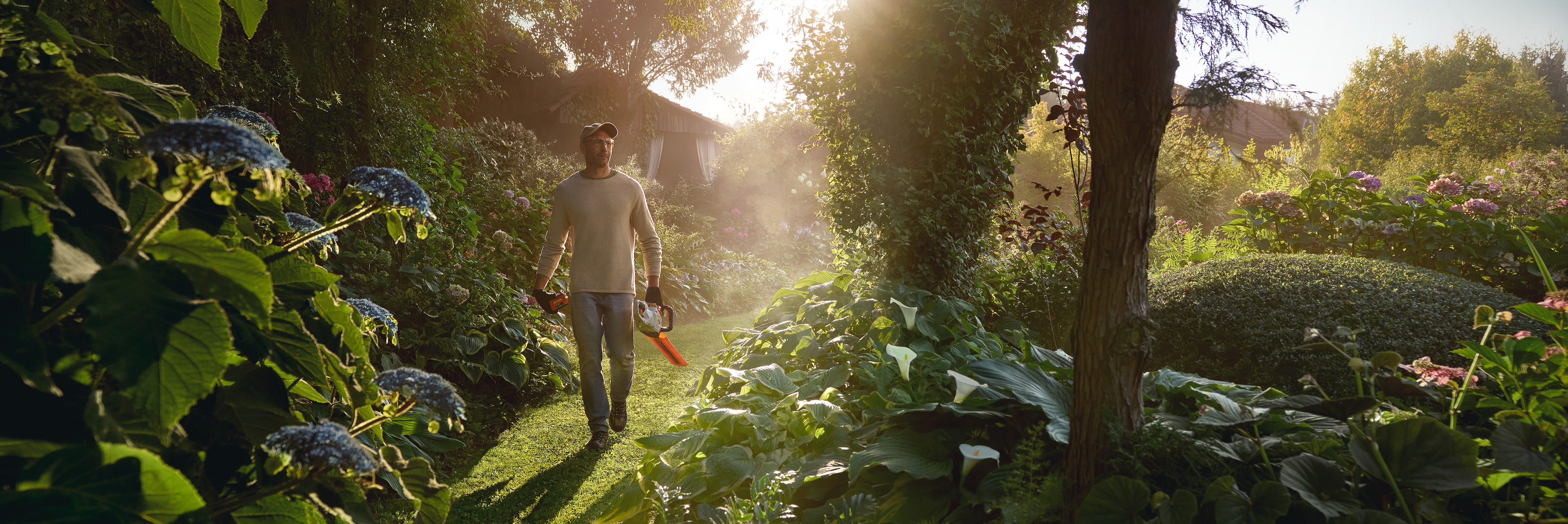 Čovek koji hoda sunčanom, bujnom zelenom baštenskom stazom između velikih grmova plave hortenzije i drugih cvetnih biljaka, noseći sivu i narandžastu STIHL trimer za živu ogradu. U pozadini je kroz drveće vidljiva mala drvena šupa.