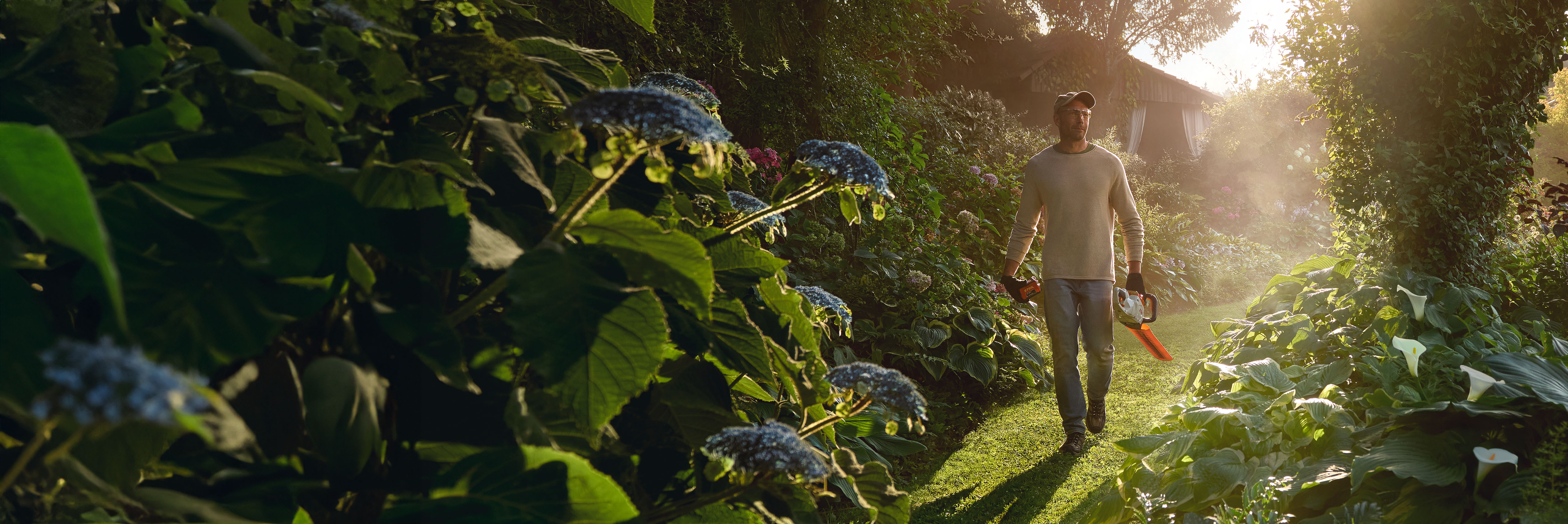 Čovek hoda niz sunčanu, bujnu zelenu baštensku stazu između velikih plavih žbunja hortenzije i drugih cvetnica, noseći sivu i narandžastu STIHL makaze za živu ogradu. U pozadini , mala drvena šupa je vidljiva  kroz drveće.