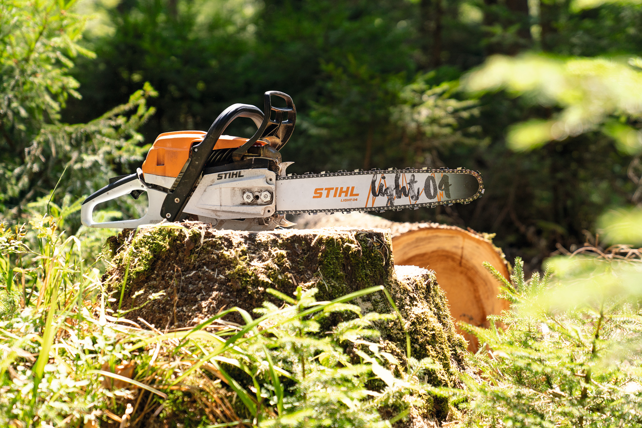 Benzinska lančana testera STIHL MS 261 C-M na panju u šumi