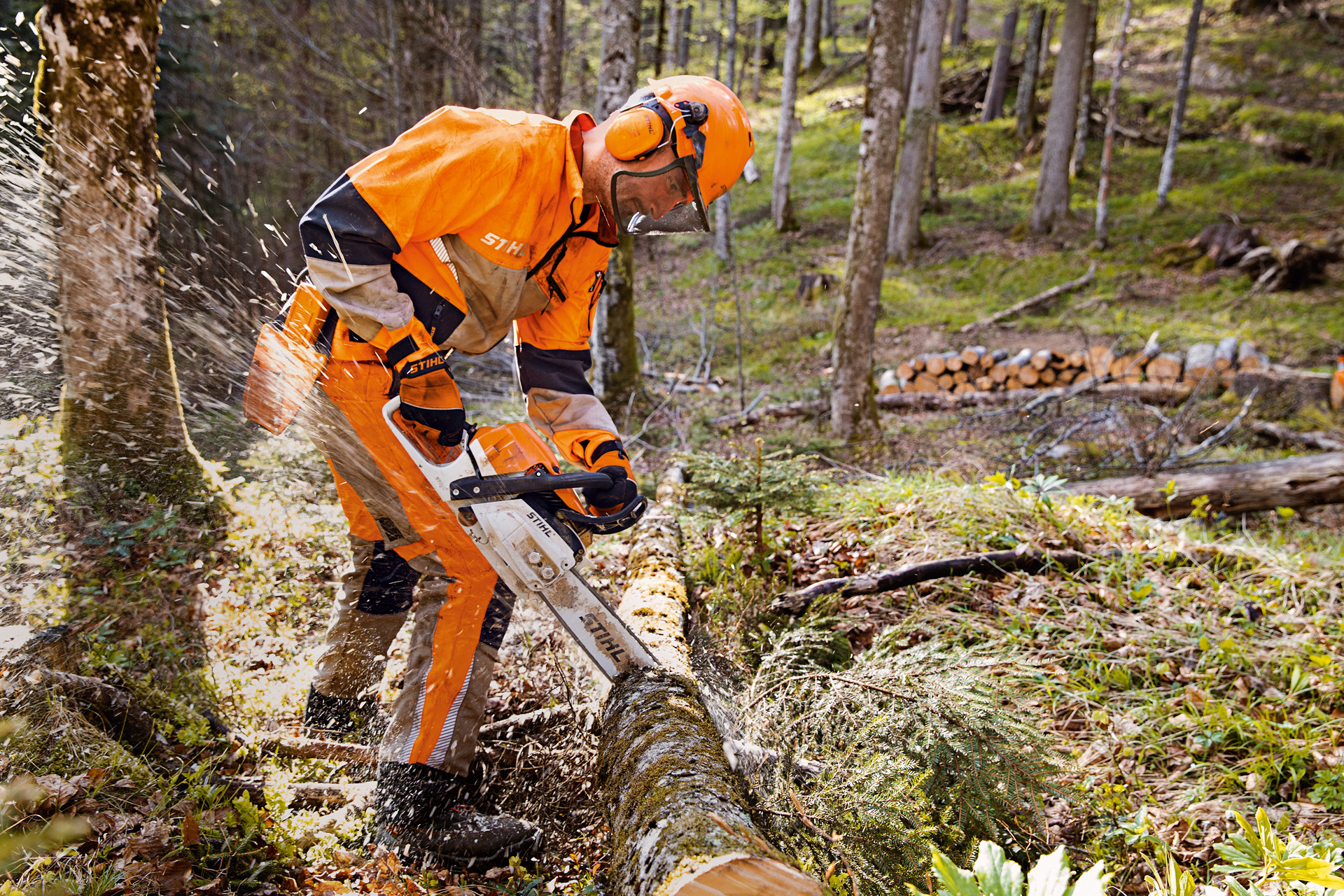 Šumari u zaštitnoj odeći STIHL, uključujući pantalone Dynamic Vent (klasa zaštite od prosecanja 1), testerišu drvo u šumi motornom testerom STIHL