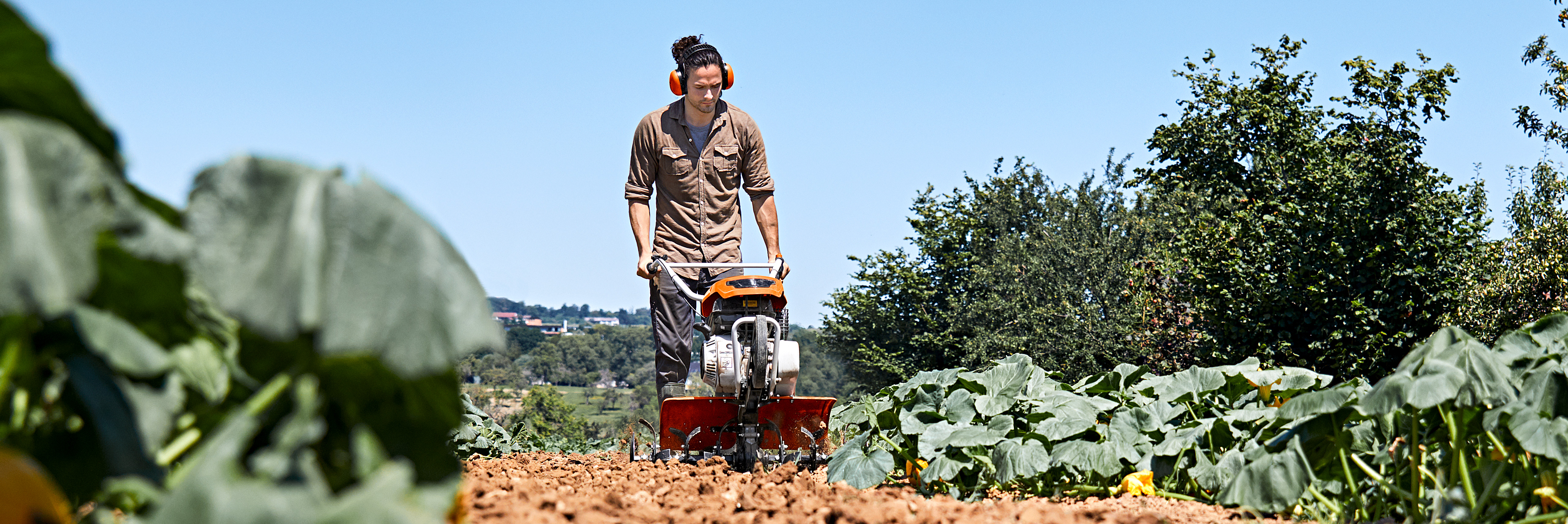 Muškarac koristi STIHL frezu za obradu zemlje u povrtnjaku između redova biljaka